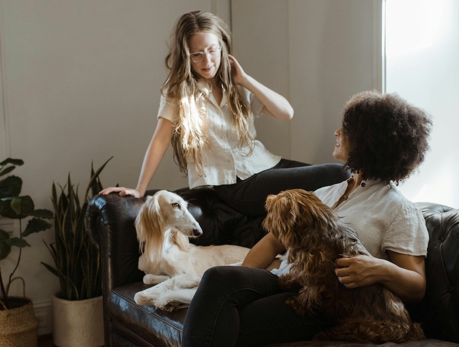 Two women sit on a couch next to two long-haired dogs. Dander surrounds them.