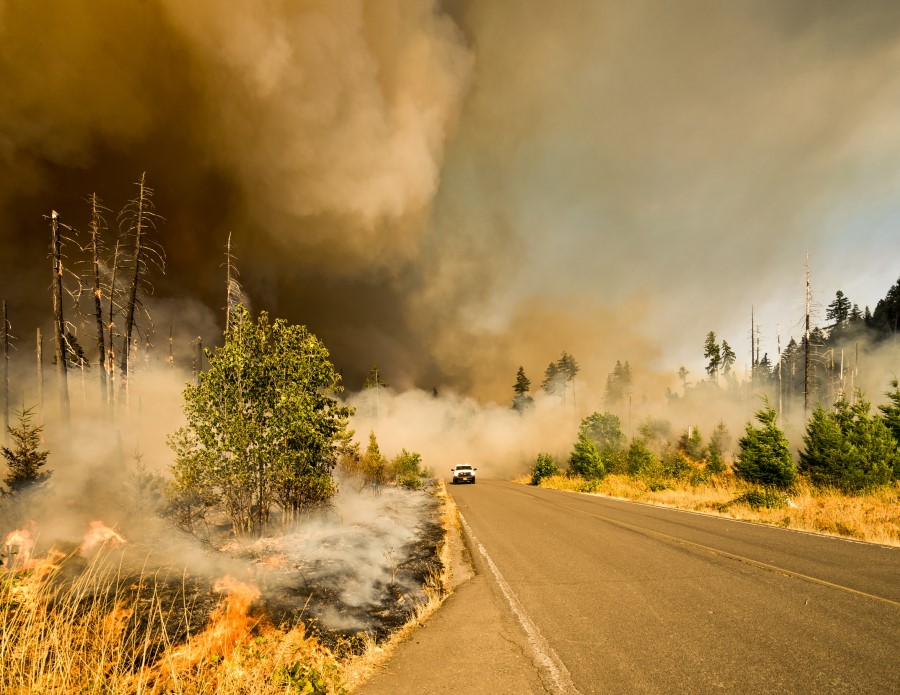 Your Family s Guide to Staying Safe During Wildfire Season Blog